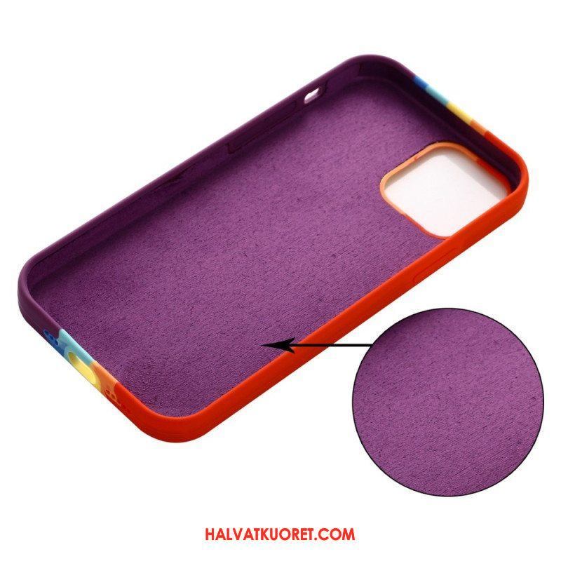 Case iPhone 14 Pro Max Sateenkaari